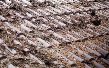 Oldcastle Heath roof cleaning companies