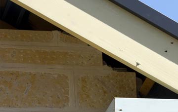 soffit repair Oldcastle Heath