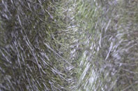 Oldcastle Heath fibreglass roof work